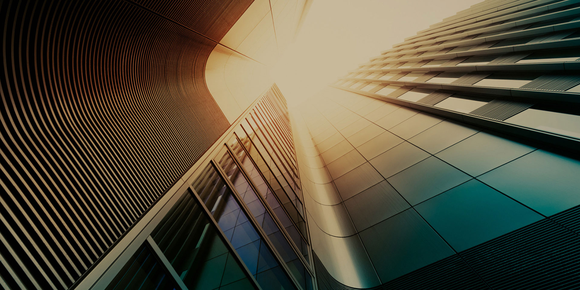 誠信、擔當、團結、奉獻